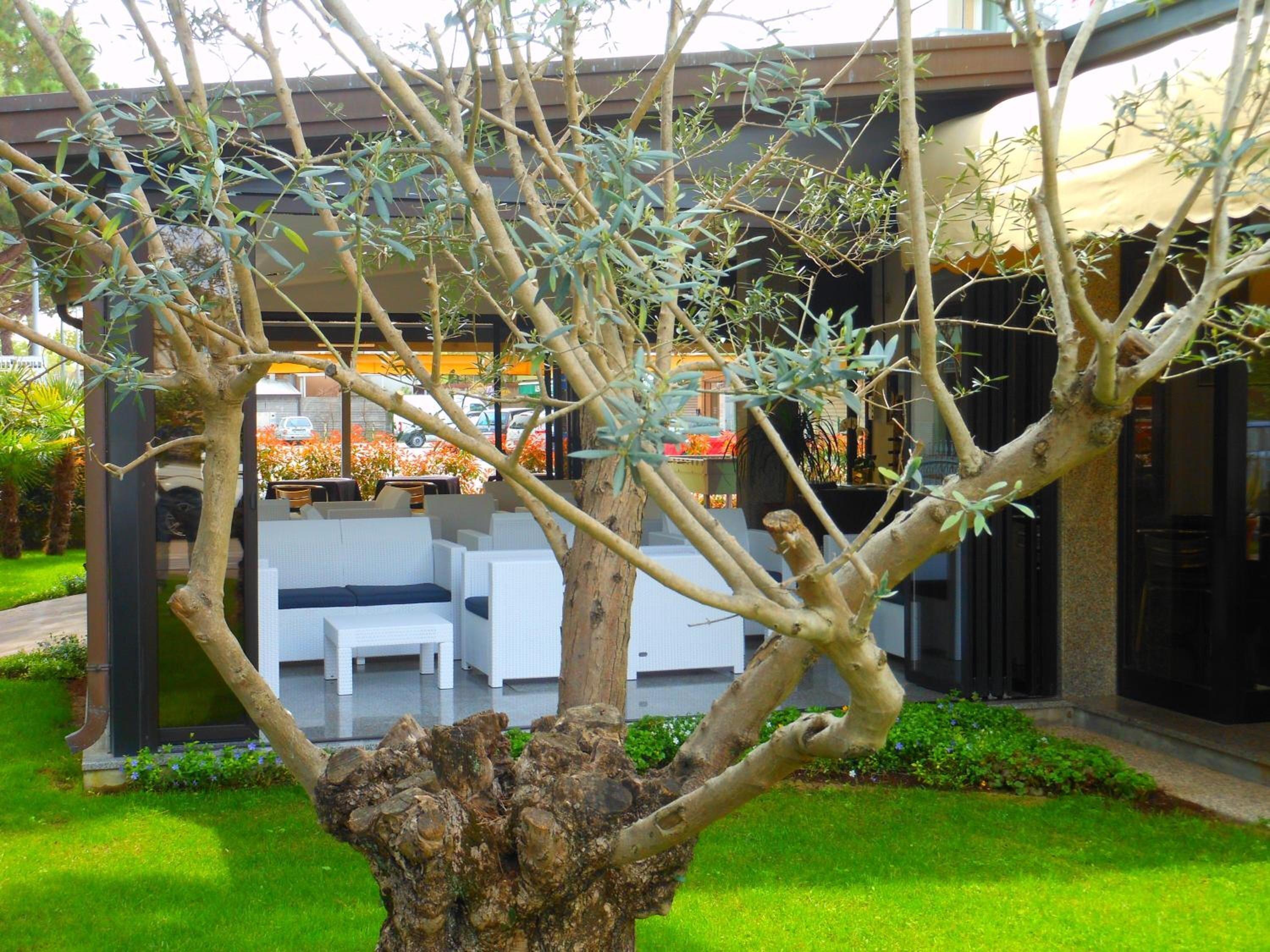 Hotel Jesolo Sand Hotel