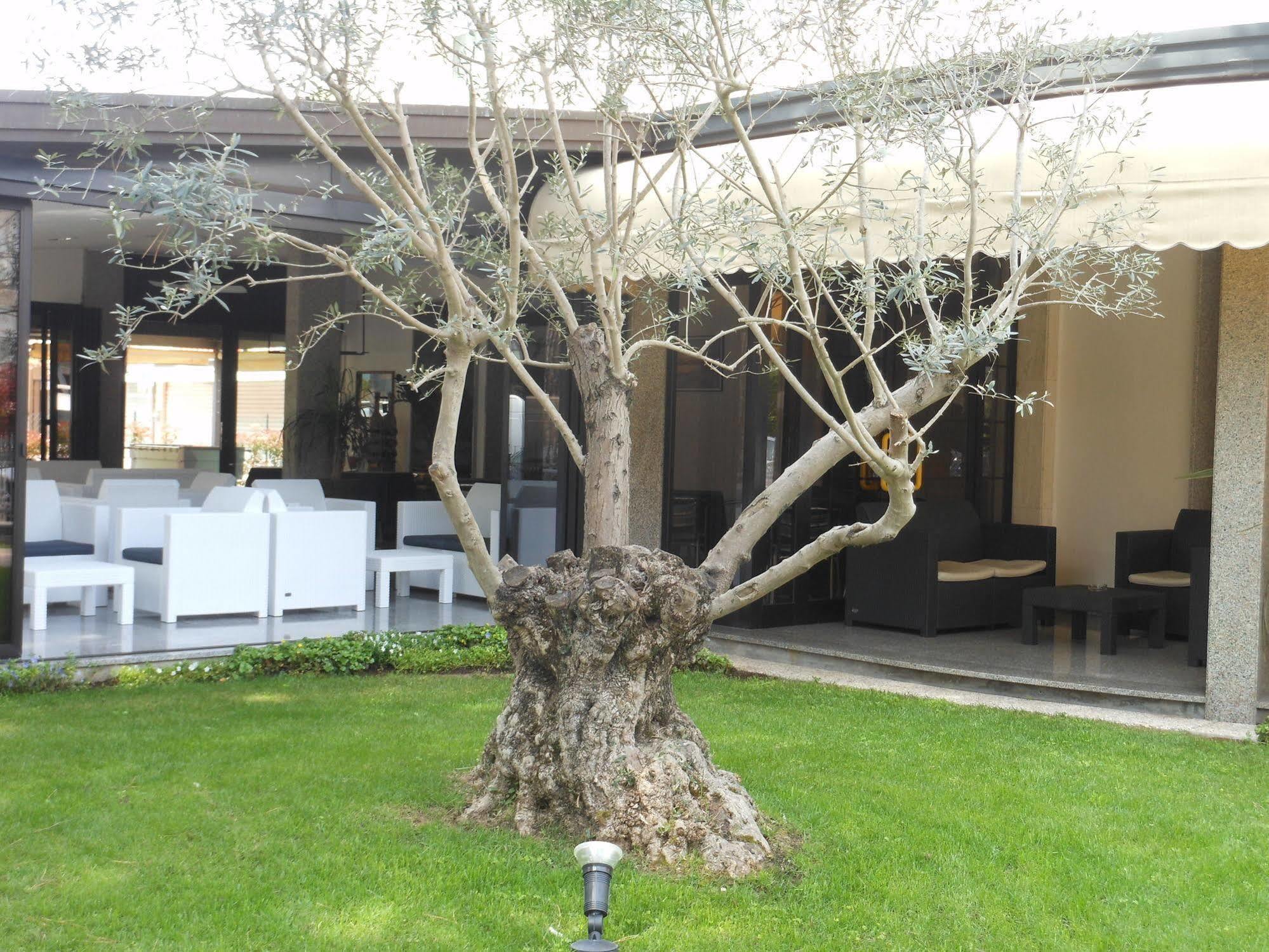 Hotel Hotel Jesolo Sand